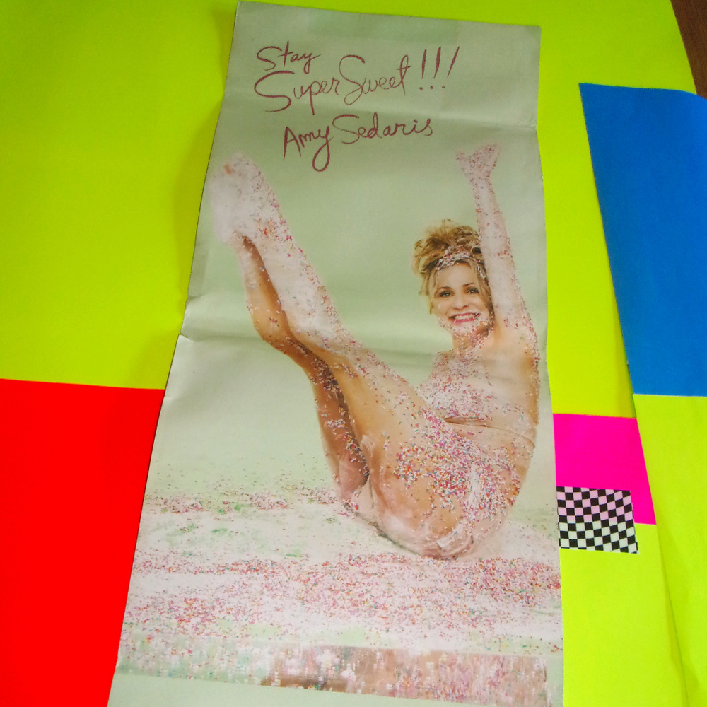 Amy Sedaris Poster/book cover